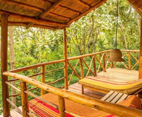 Luxury gorilla safari lodge in Bwindi Forest during a Luxury Gorilla Safari Uganda experience
