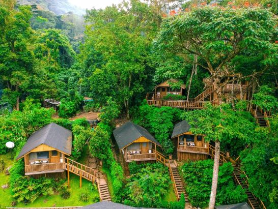 Luxury Gorilla Safari Uganda lodge surrounded by rainforest in southwestern Uganda