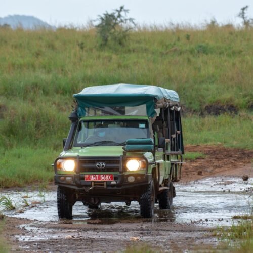 Private safari vehicle used for Uganda Chimpanzee Safari tours