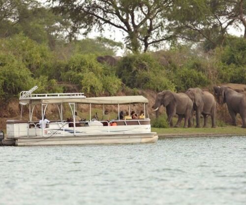 Boat safari on Kazinga Channel during a Uganda wildlife and primate safari
