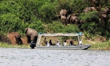 Kazinga Channel boat safari Queen Elizabeth National Park