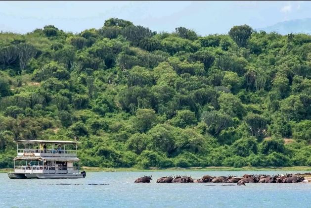 Kazinga Channel boat safari wildlife viewing experience featuring hippos and aquatic wildlife during a Uganda Wildlife Safari