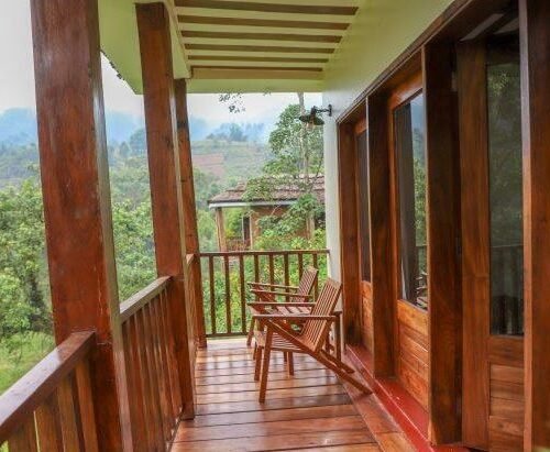 Comfortable lodge accommodation in Bwindi Forest during a 3 Day Uganda Gorilla Trekking Safari