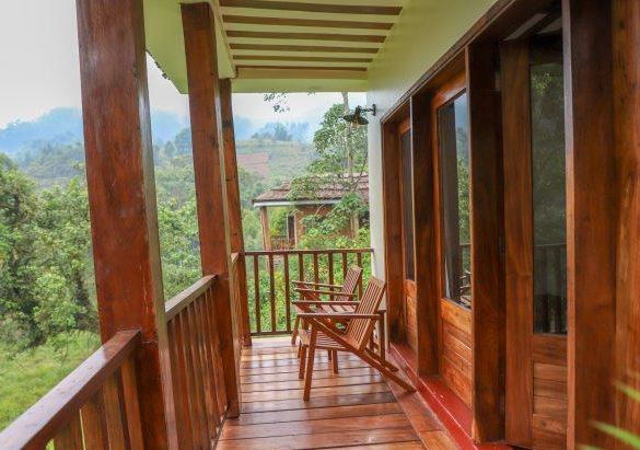 Comfortable lodge accommodation in Bwindi Forest during a 3 Day Uganda Gorilla Trekking Safari