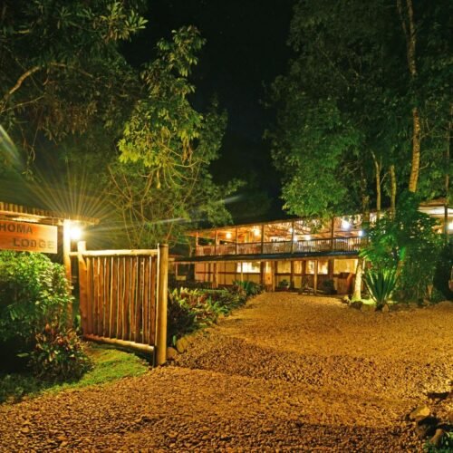 Luxury safari lodge in Bwindi Impenetrable Forest providing premium accommodation during a Luxury Uganda Birding Safari