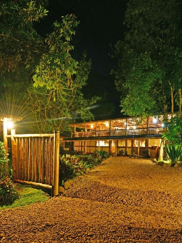 Luxury safari lodge in Bwindi Impenetrable Forest providing premium accommodation during a Luxury Uganda Birding Safari