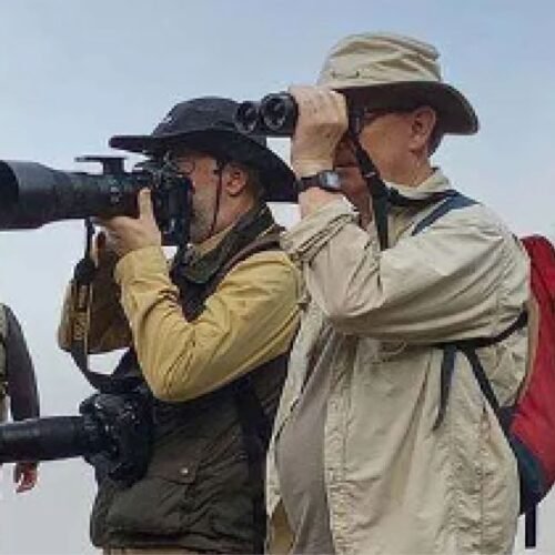Birdwatchers on a Luxury Uganda Birding Safari using binoculars and cameras to observe rare bird species across Uganda’s premier birding destinations