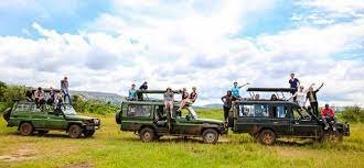 Rwanda Wildlife Safari vehicles during a game drive in Akagera National Park