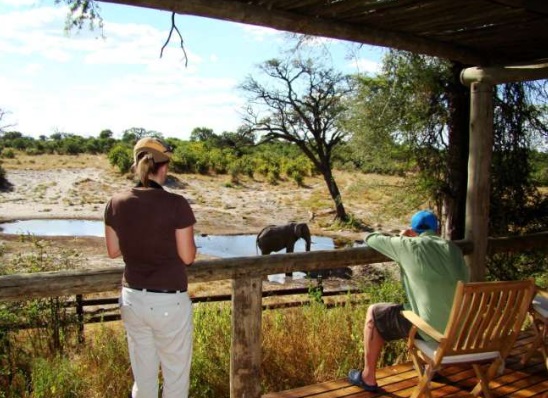 Guests enjoying a wildlife viewing experience during a tailor-made Uganda safari planned by a Uganda tour operator