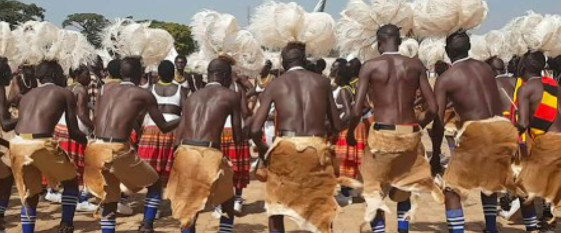 Traditional Acholi dancers performing the Bwola royal dance in the Acholi Region of Northern Uganda.