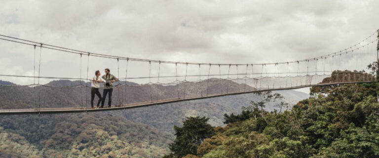 Visitors crossing a suspended canopy walkway above a tropical rainforest during a Canopy Walk experience