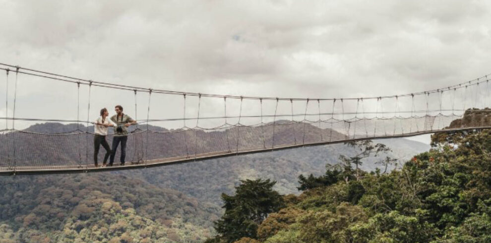 Visitors crossing a suspended canopy walkway above a tropical rainforest during a Canopy Walk experience