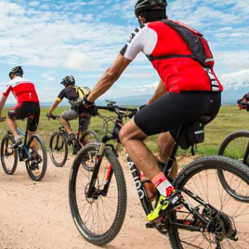 Travellers enjoying a guided cycling safari through Uganda’s scenic countryside