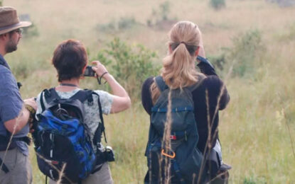 Visitors enjoying a guided forest walk through a tropical rainforest in Uganda