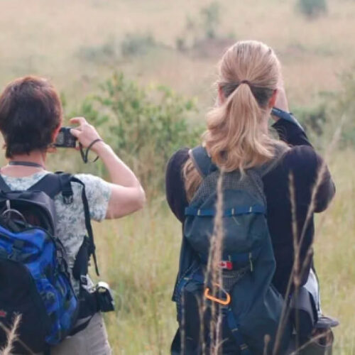Visitors enjoying a guided forest walk through a tropical rainforest in Uganda