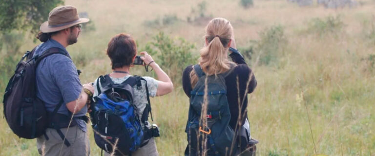 Visitors enjoying a guided forest walk through a tropical rainforest in Uganda