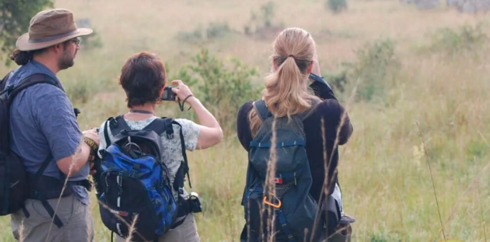 Visitors enjoying a guided forest walk through a tropical rainforest in Uganda