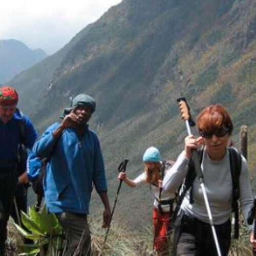 Visitors enjoying a guided hiking adventure in Uganda’s scenic mountain landscape