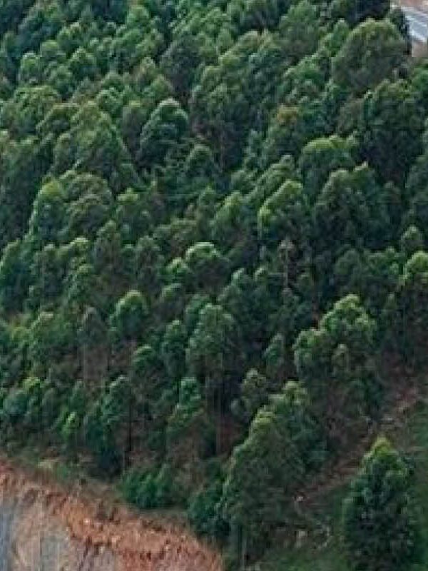 Scenic mountain road winding through the Kigezi Region highlands in southwestern Uganda