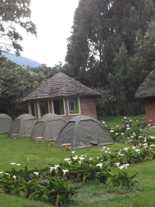 Batwa community camp near Mgahinga Gorilla National Park, Uganda, offering cultural experiences alongside gorilla trekking adventures.
