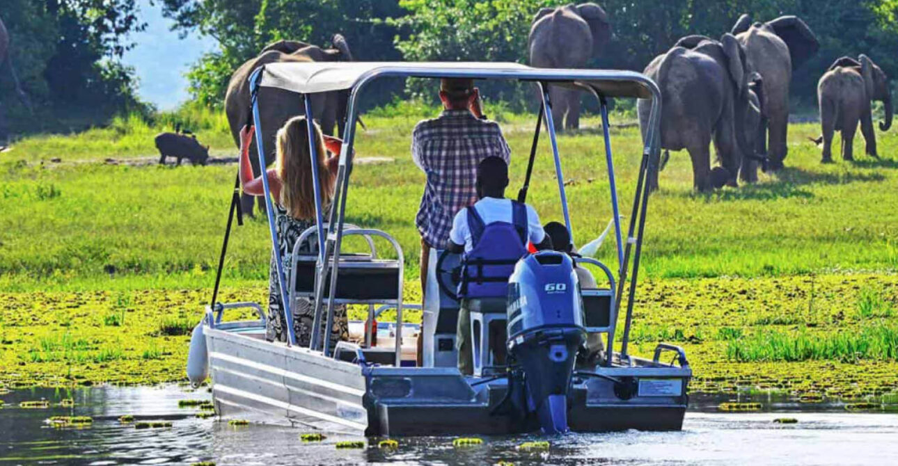 Guests enjoying a guided boat safari during a mid-range safaris in Murchison Falls National Park, Uganda