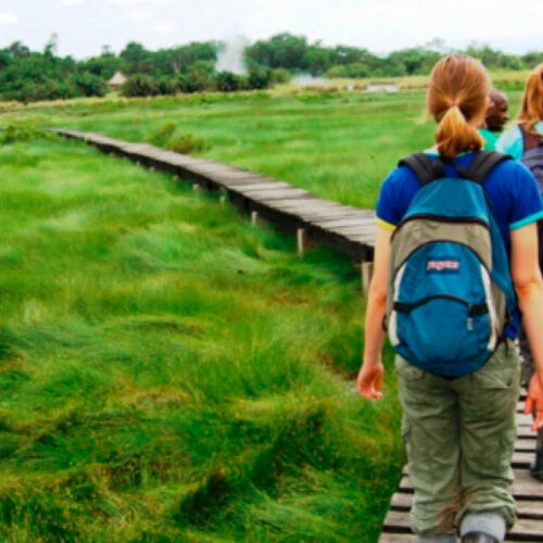 Visitors enjoying a guided nature walk through a wetland boardwalk in Uganda