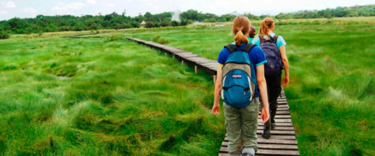 Visitors enjoying a guided nature walk through a wetland boardwalk in Uganda