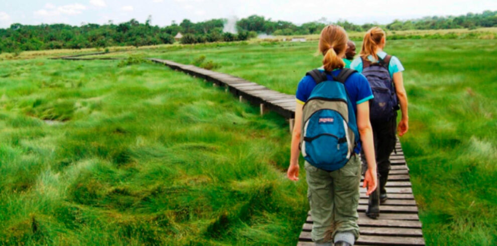 Visitors enjoying a guided nature walk through a wetland boardwalk in Uganda