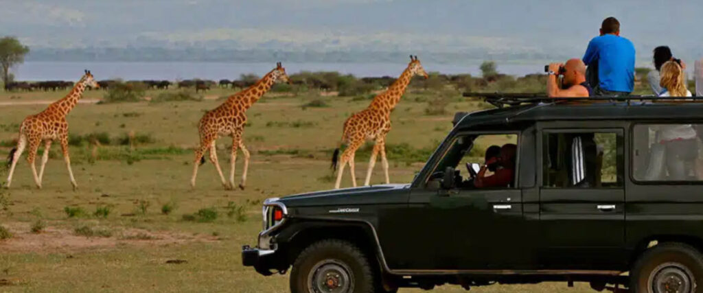 4x4 safari vehicle exploring a national park during a Self-Drive Safari in Uganda