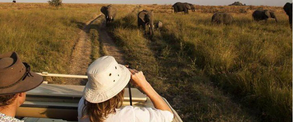 Couple enjoying a personalised Tailor-Made Safari overlooking Queen Elizabeth National Park wilderness