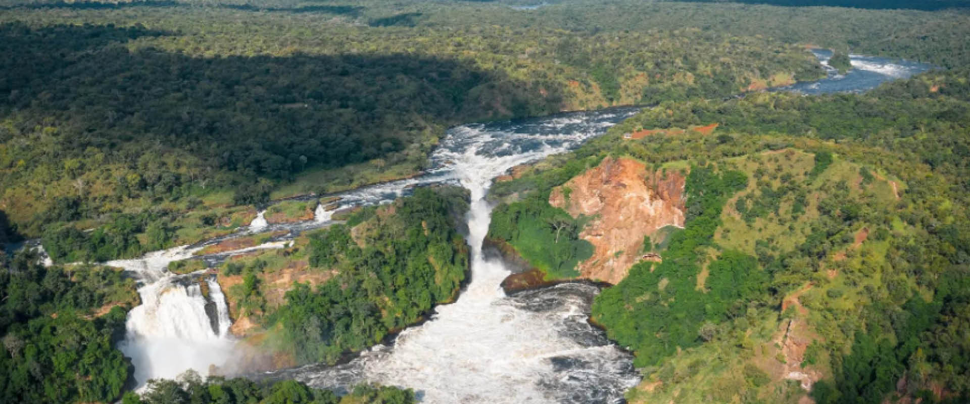 Panoramic safari landscape in Uganda showcasing wildlife, savannah, and the Pearl of Africa.