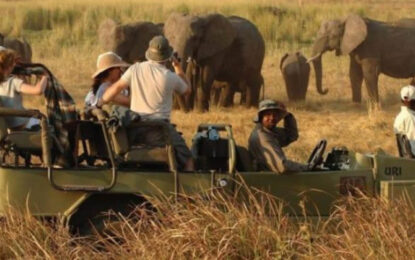 5 Days Uganda Safari: Wildlife, Chimpanzees & Gorilla Trekking Options