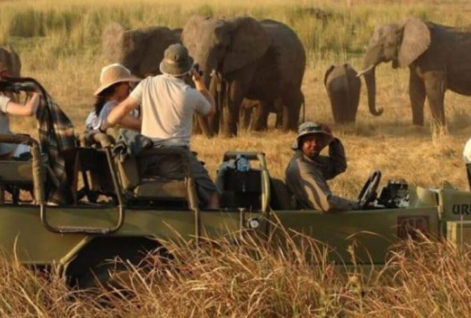 5 Days Uganda Safari with travellers viewing wildlife in Uganda