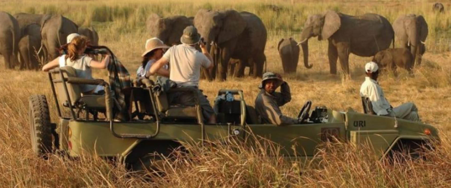 5 Days Uganda Safari with travellers viewing wildlife in Uganda