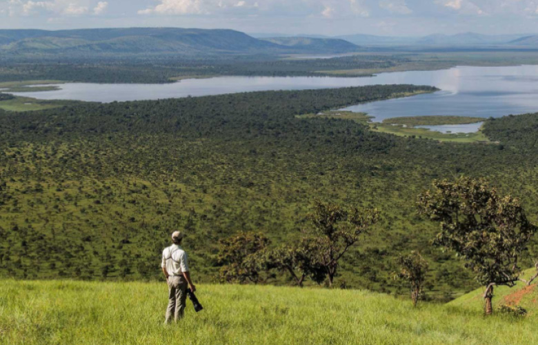 Akagera Birding Safari in Rwanda’s savannah and wetland habitat