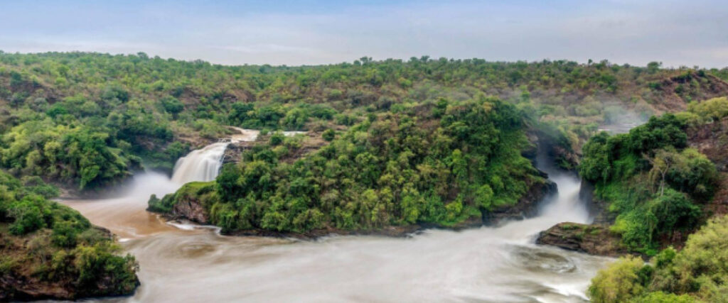 Best Time to Visit Uganda for a safari at Murchison Falls National Park