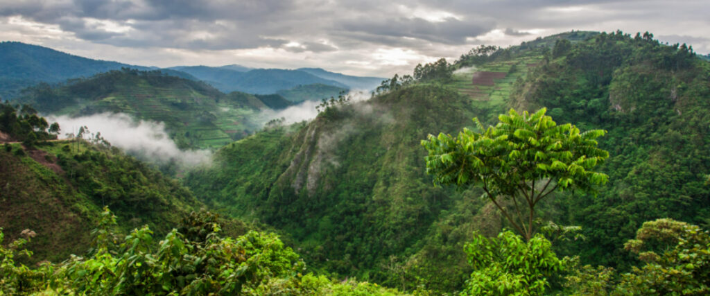 Best Time to Visit Uganda during the rainy season with green highland landscapes
