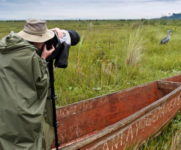 Birding Safaris in Uganda and Rwanda across forests, wetlands and scenic landscapes