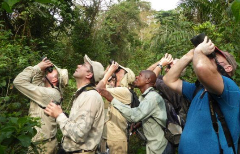 Birdwatchers exploring Bwindi Forest on a Uganda Birding Safari
