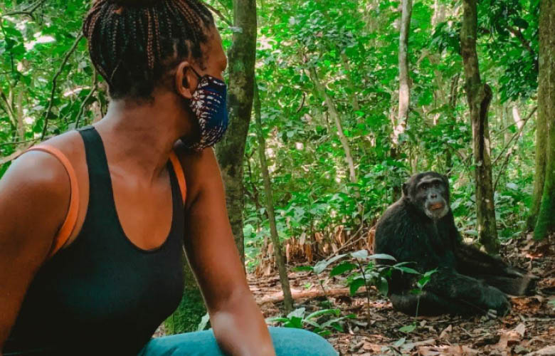 Chimpanzee Tracking in Kibale Forest Uganda