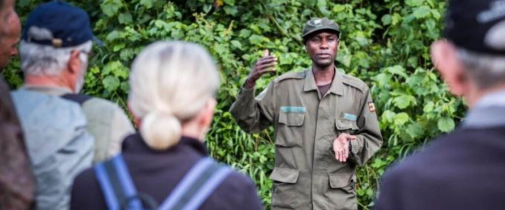 Gorilla Trekking Permit Guide with a ranger briefing visitors before gorilla trekking in Uganda