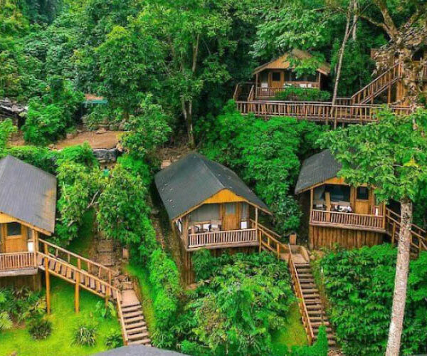 gorilla trekking safari accommodation uganda rwanda