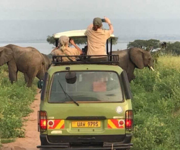 Wildlife viewing during a private game drive in Murchison Falls National Park, Uganda