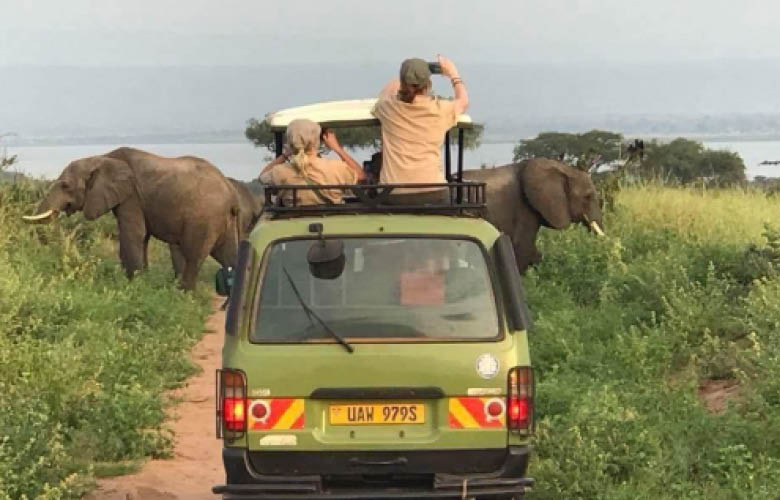 Wildlife viewing during a private game drive in Murchison Falls National Park, Uganda
