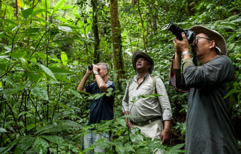nyungwe birding safari rwanda
