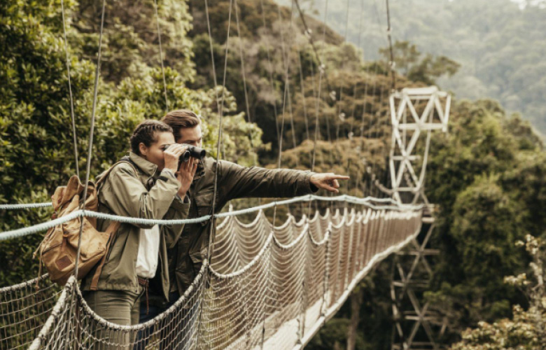 Rwanda Birding Safari in Nyungwe Forest with a birdwatcher