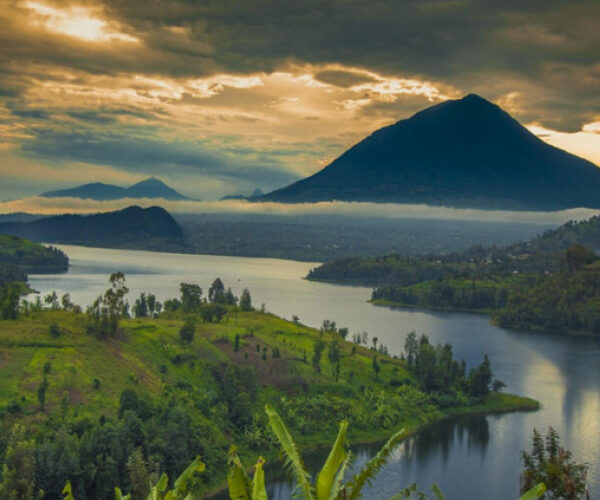 Rwanda Safaris with wildlife and scenic landscapes
