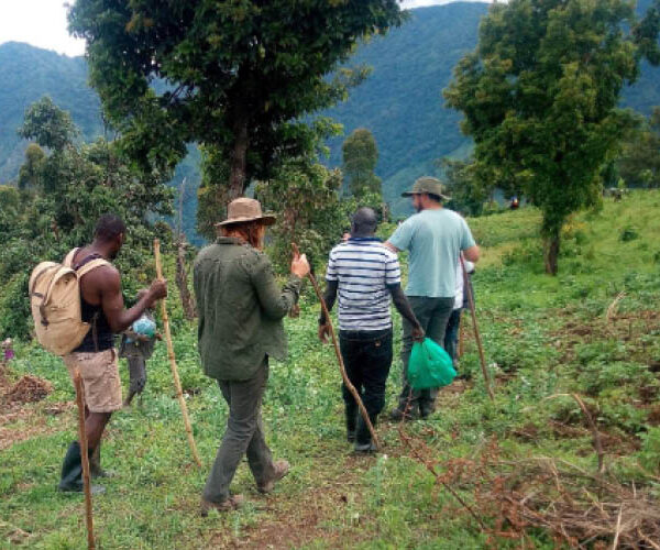 Bakonzo community and Rwenzori foothills beneath the Mountains of the Moon in western Uganda
