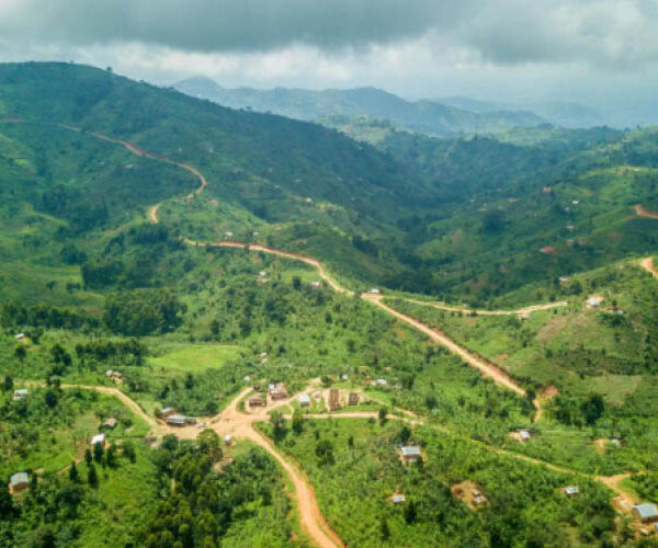 Tropical rainforest landscape in Semuliki National Park, western Uganda