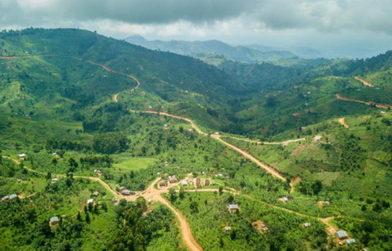 Tropical rainforest landscape in Semuliki National Park, western Uganda